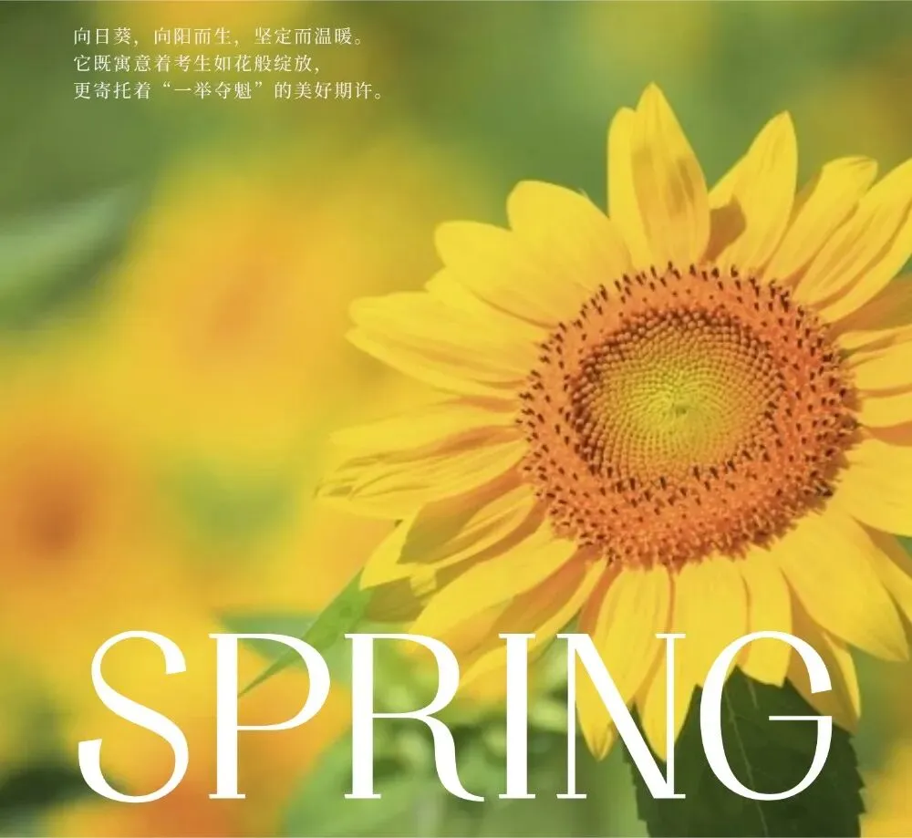 春树直击中考现场:愿你一举夺“葵”,更许你估分无忧!-第2张图片-四季读书网