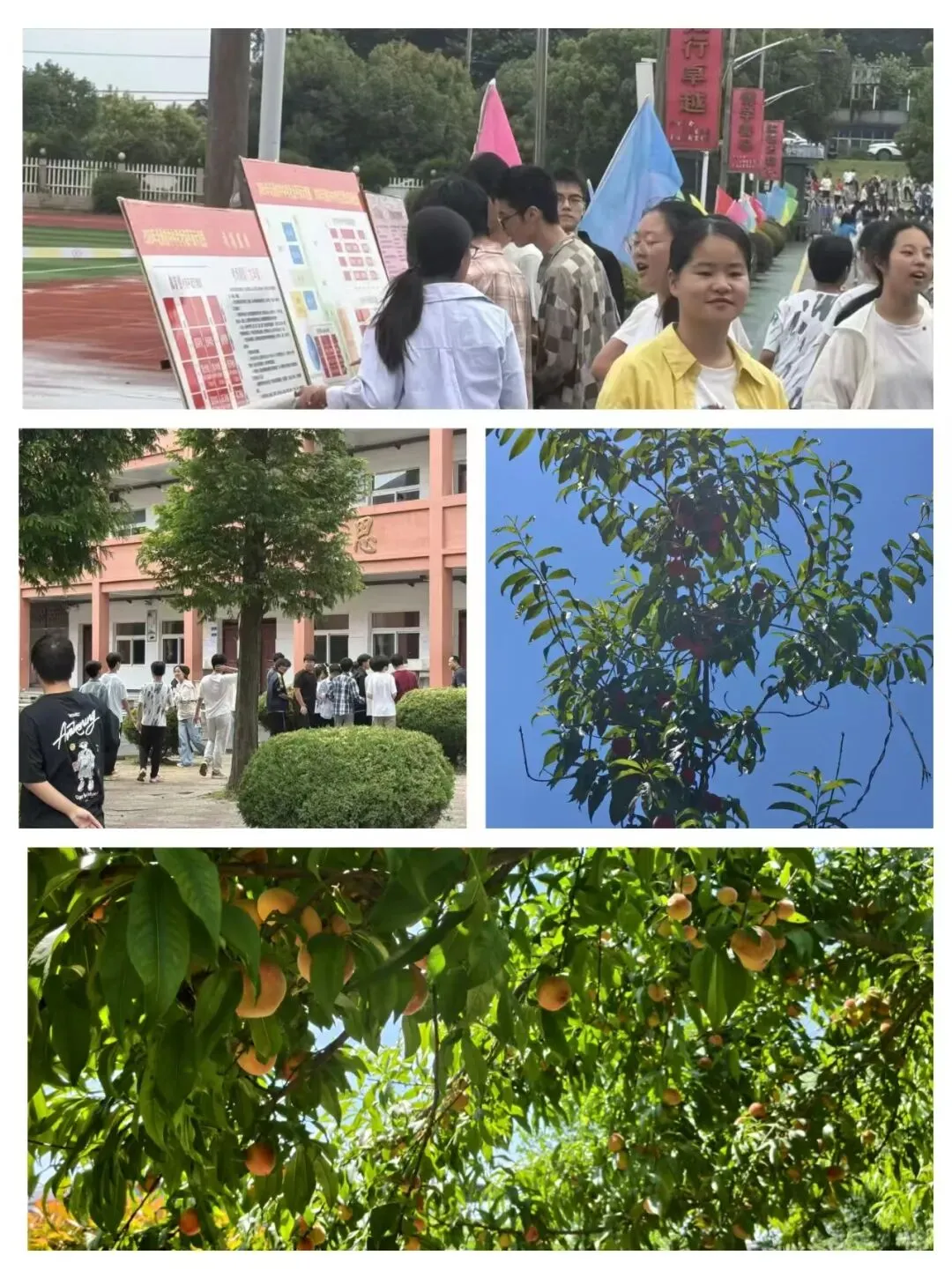 晴风作伴好扬帆|老洲初中中考首日平稳有序、顺利收官-第15张图片-四季读书网 晴风作伴好扬帆|老洲初中中考首日平稳有序、顺利收官-第15张图片-四季读书网