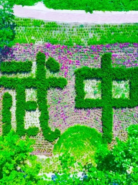 中考倒计时7日,武中为你加油!-第31张图片-四季读书网 中考倒计时7日,武中为你加油!-第31张图片-四季读书网