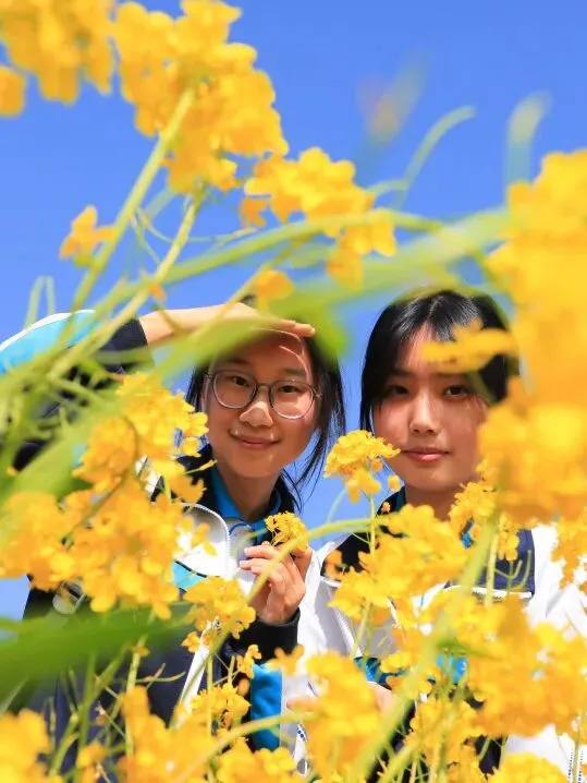 中考倒计时7日,武中为你加油!-第36张图片-四季读书网 中考倒计时7日,武中为你加油!-第36张图片-四季读书网