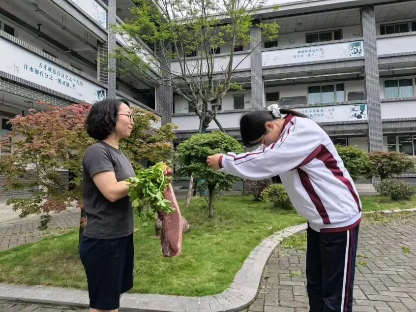 中考收官,成长不止-第23张图片-四季读书网 中考收官,成长不止-第23张图片-四季读书网