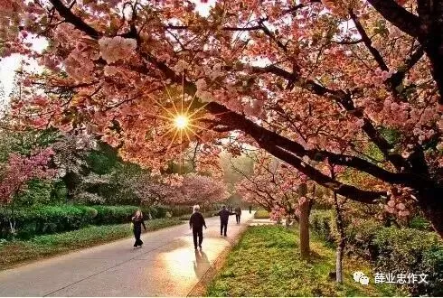 2026年安徽中考语文作文构思指导及佳作示范-第3张图片-四季读书网 2026年安徽中考语文作文构思指导及佳作示范-第3张图片-四季读书网