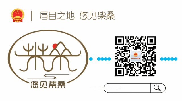 注意!2026年中考期间柴桑区部分路段实行交通管制-第4张图片-四季读书网