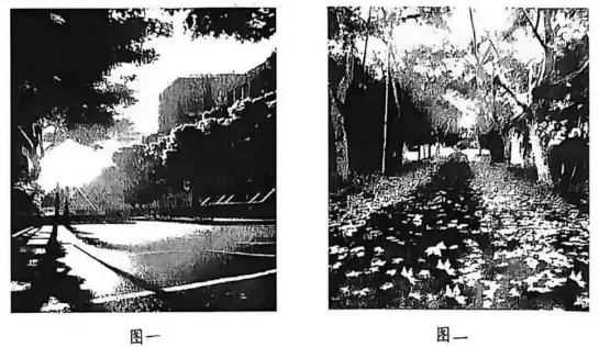 2026届重庆中考 语文真题及答案-第2张图片-四季读书网