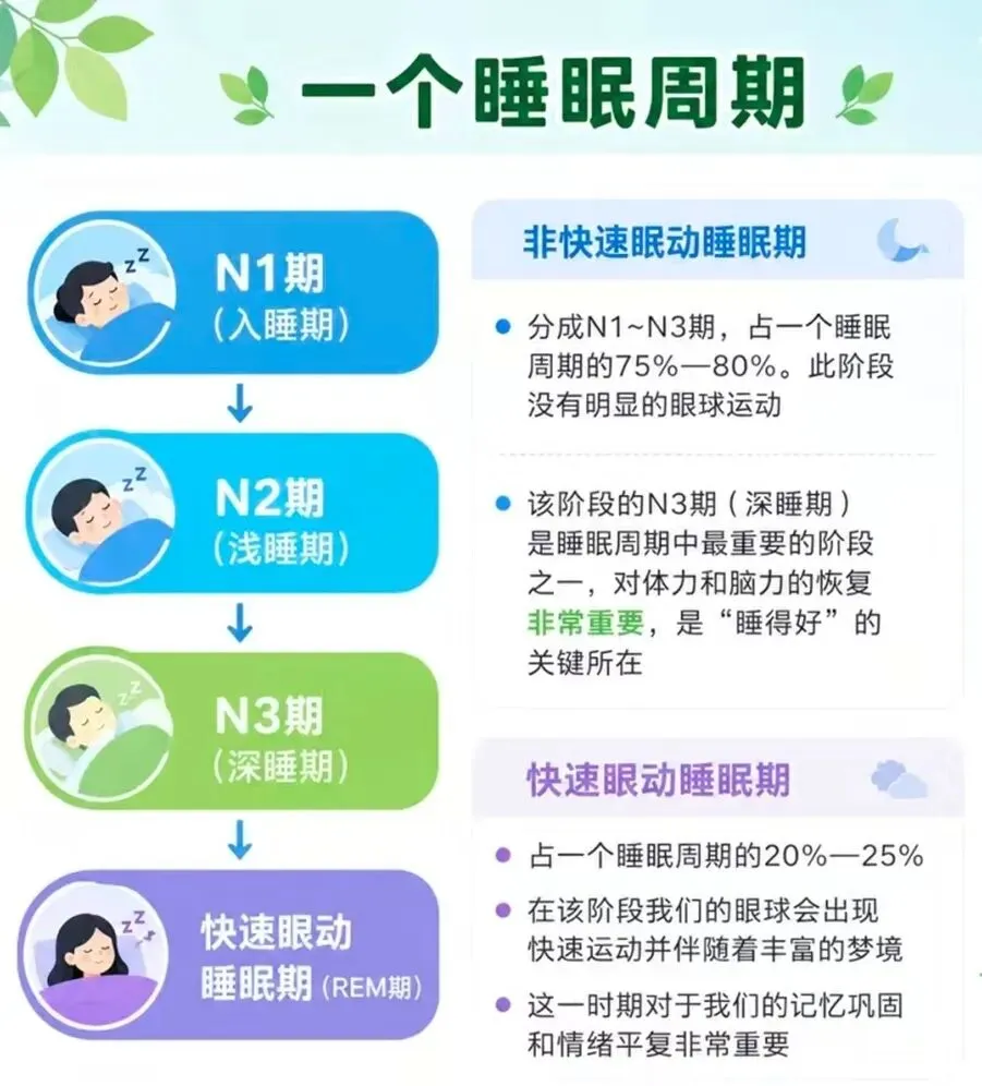 熬夜多刷题≠多得分!中考孩子的睡眠误区,很多家长都中招-第5张图片-四季读书网