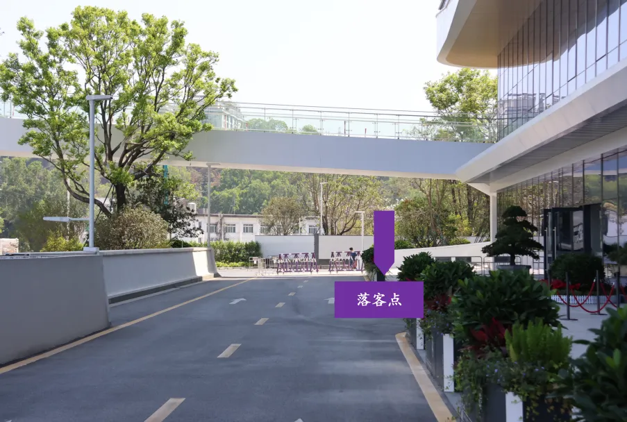 熬夜多刷题≠多得分!中考孩子的睡眠误区,很多家长都中招-第23张图片-四季读书网