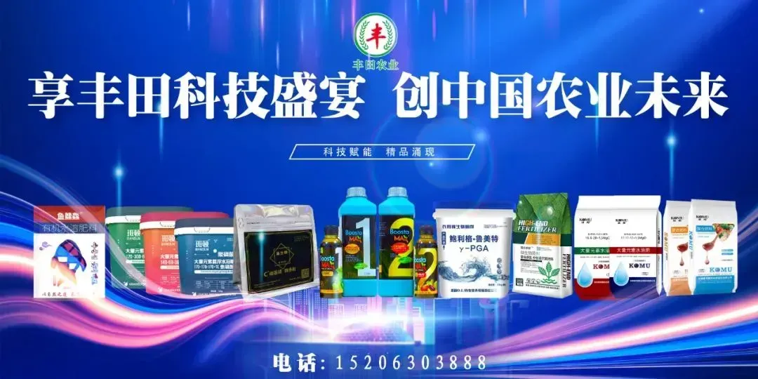 中考第二天,有雨,出门记得带伞→-第1张图片-四季读书网