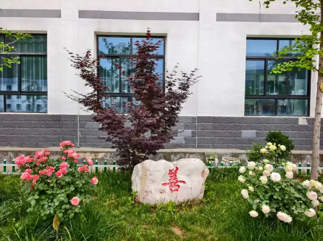以诚为笔,以善为光——致2026届中考少年的逐梦叮咛-第11张图片-四季读书网 以诚为笔,以善为光——致2026届中考少年的逐梦叮咛-第11张图片-四季读书网