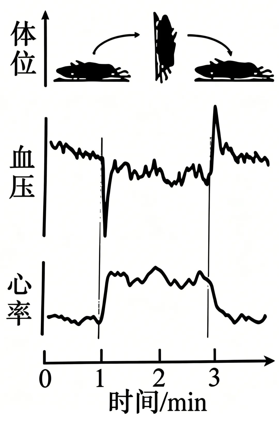 2026安徽省高考生物学真题逐题详解+溯源 +考情+考点总结(建议收藏)-第3张图片-四季读书网
