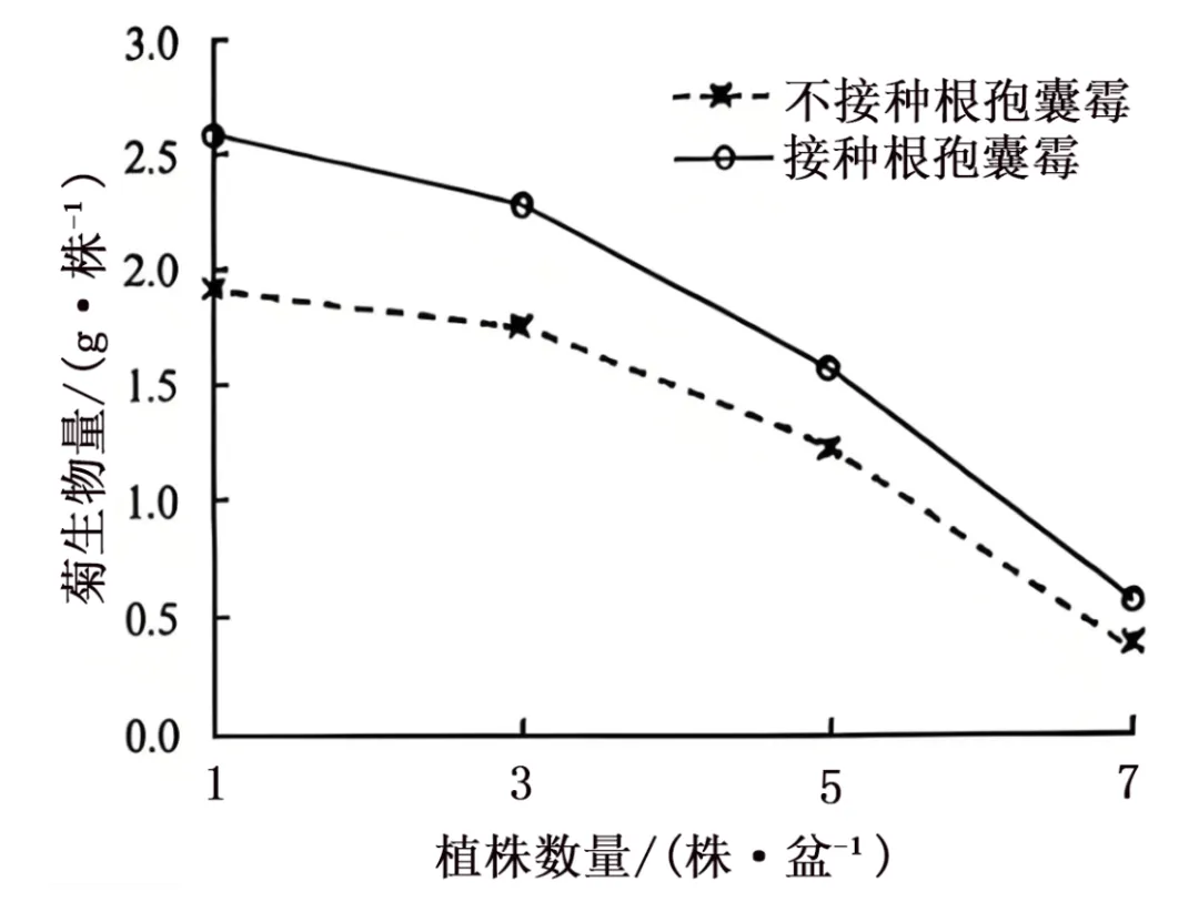 2026安徽省高考生物学真题逐题详解+溯源 +考情+考点总结(建议收藏)-第12张图片-四季读书网