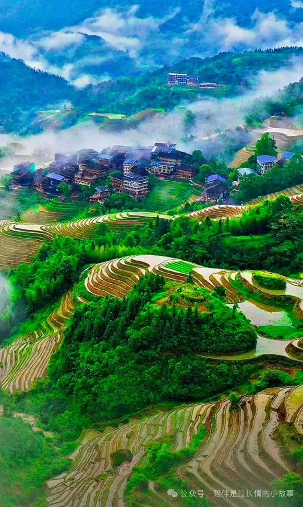 近三年福建中考作文真题透露哪些信息?-第1张图片-四季读书网