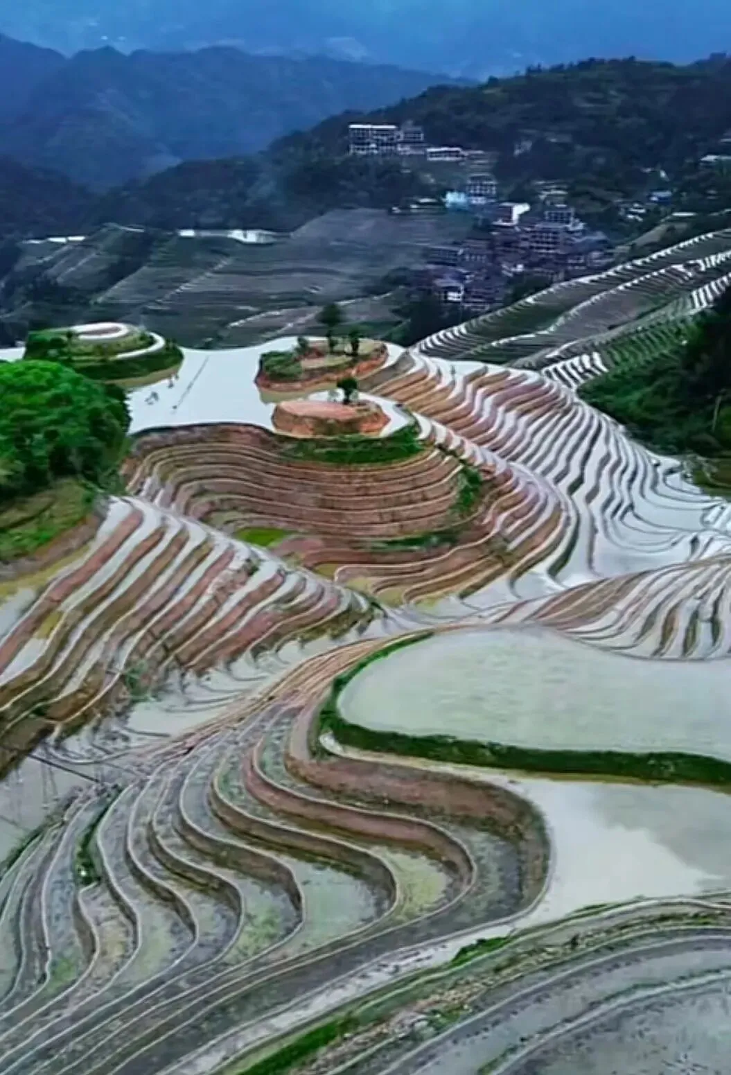 近三年福建中考作文真题透露哪些信息?-第3张图片-四季读书网