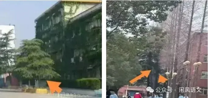 2026中考作文写景状物类写作指导与实践-第7张图片-四季读书网