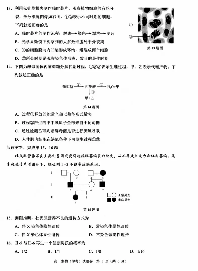 【浙江卷】【高二】【学考模考】浙江省温州市2026年6月温州市高二年级普通高中学业水平测试(6.11-6.12)全科试卷(缺物理英政)+答案-第15张图片-四季读书网