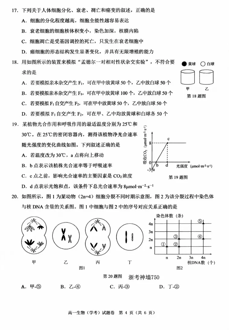 【浙江卷】【高二】【学考模考】浙江省温州市2026年6月温州市高二年级普通高中学业水平测试(6.11-6.12)全科试卷(缺物理英政)+答案-第16张图片-四季读书网