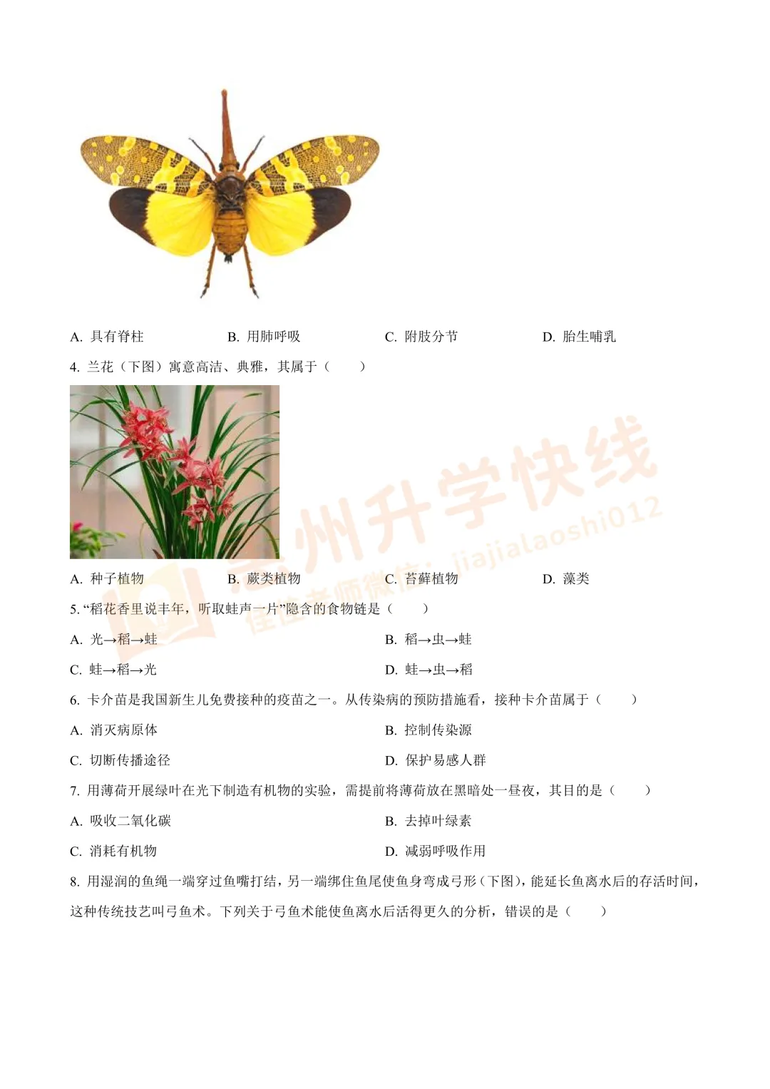 【生物】2025年广东省中考真题+答案解析-第4张图片-四季读书网 【生物】2025年广东省中考真题+答案解析-第4张图片-四季读书网