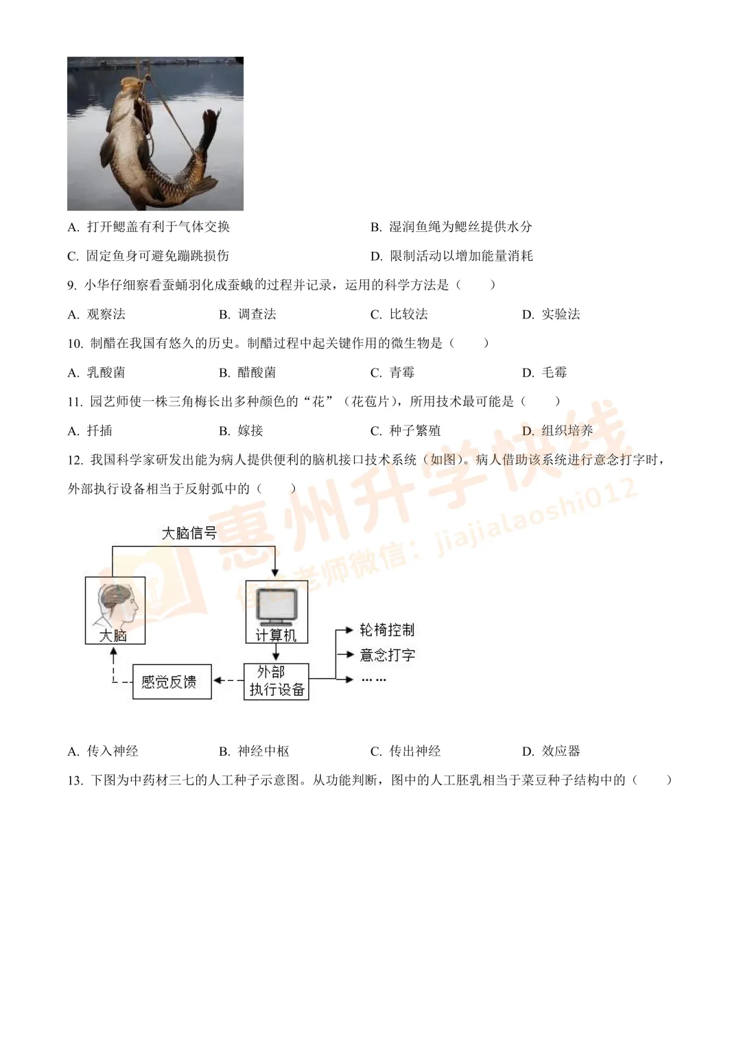 【生物】2025年广东省中考真题+答案解析-第5张图片-四季读书网 【生物】2025年广东省中考真题+答案解析-第5张图片-四季读书网