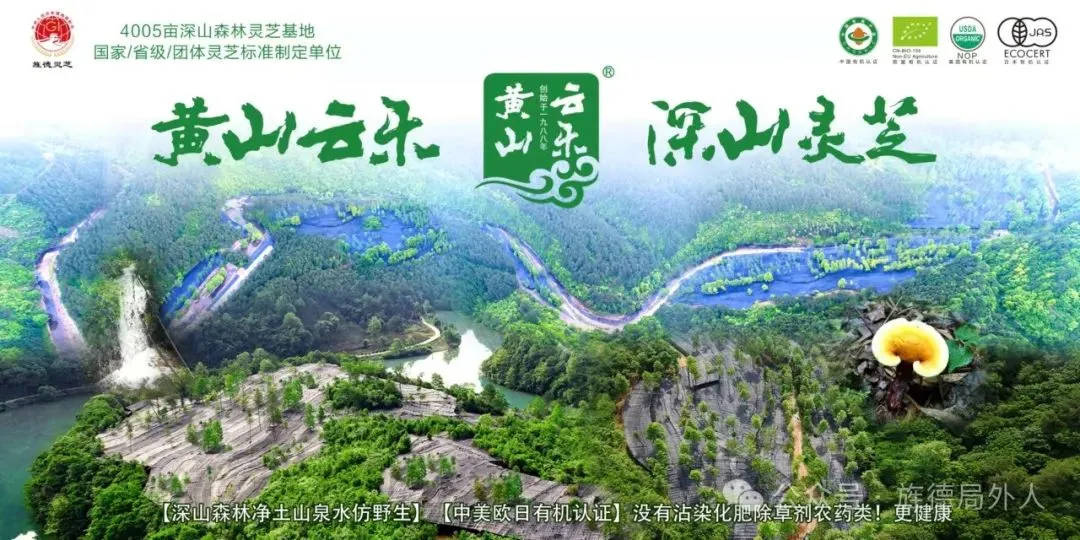 今天旌德中考首日-第7张图片-四季读书网