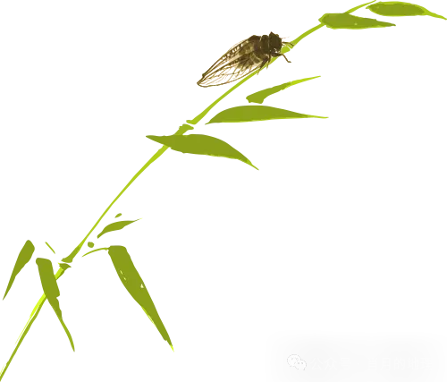 真题汇编|蜗牛风格版2026年高考地理真题精讲(预更合集优惠¥188)-第15张图片-四季读书网 真题汇编|蜗牛风格版2026年高考地理真题精讲(预更合集优惠¥188)-第15张图片-四季读书网
