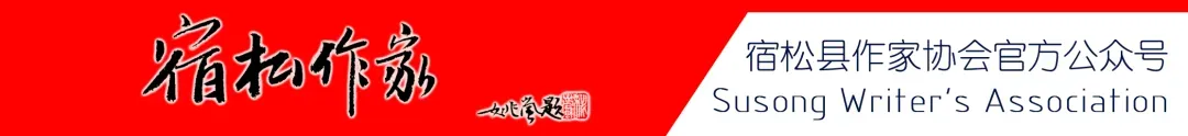 【中考下水文】稻田守望者 | 张梅梅-第1张图片-四季读书网 【中考下水文】稻田守望者 | 张梅梅-第1张图片-四季读书网