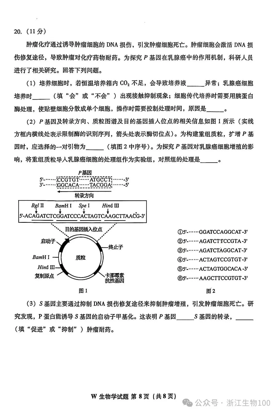 2026年安徽高考生物真题试卷-第8张图片-四季读书网
