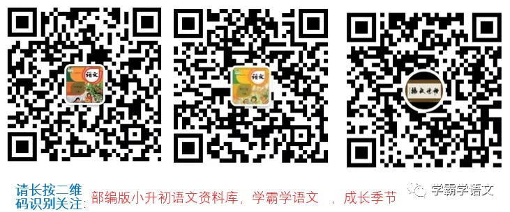 六年级语文下册期末检测真题(江苏泰州)(含参考答案)-第11张图片-四季读书网