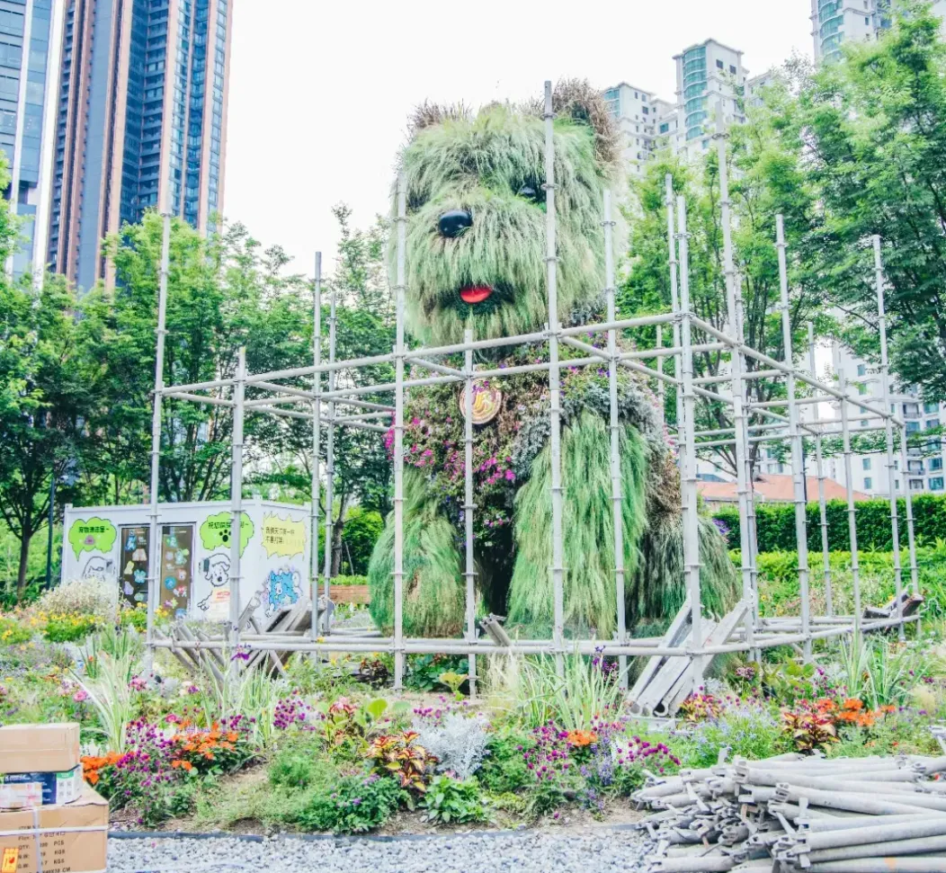 10天雨!一地取消中考选拔全升高中!全楼崩溃!上海男子囤垃圾户户爬满蟑螂!黄大炜离世!劣质“迪卡侬”流向全国!-第6张图片-四季读书网 10天雨!一地取消中考选拔全升高中!全楼崩溃!上海男子囤垃圾户户爬满蟑螂!黄大炜离世!劣质“迪卡侬”流向全国!-第6张图片-四季读书网