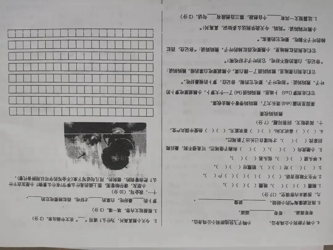 一年级语文下期末试卷-第13张图片-四季读书网