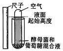 2026河南高考高考生物word真题及参考答案-第1张图片-四季读书网 2026河南高考高考生物word真题及参考答案-第1张图片-四季读书网