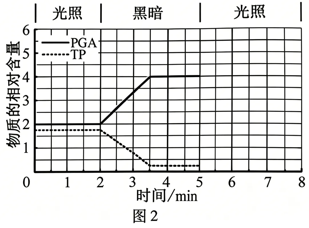 2026年安徽省高考生物真题(word含答案)-第10张图片-四季读书网