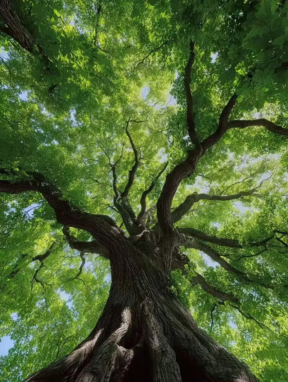 第494期 【王子璇专栏】试卷讲评课作文专题教学设计-第1张图片-四季读书网 第494期 【王子璇专栏】试卷讲评课作文专题教学设计-第1张图片-四季读书网