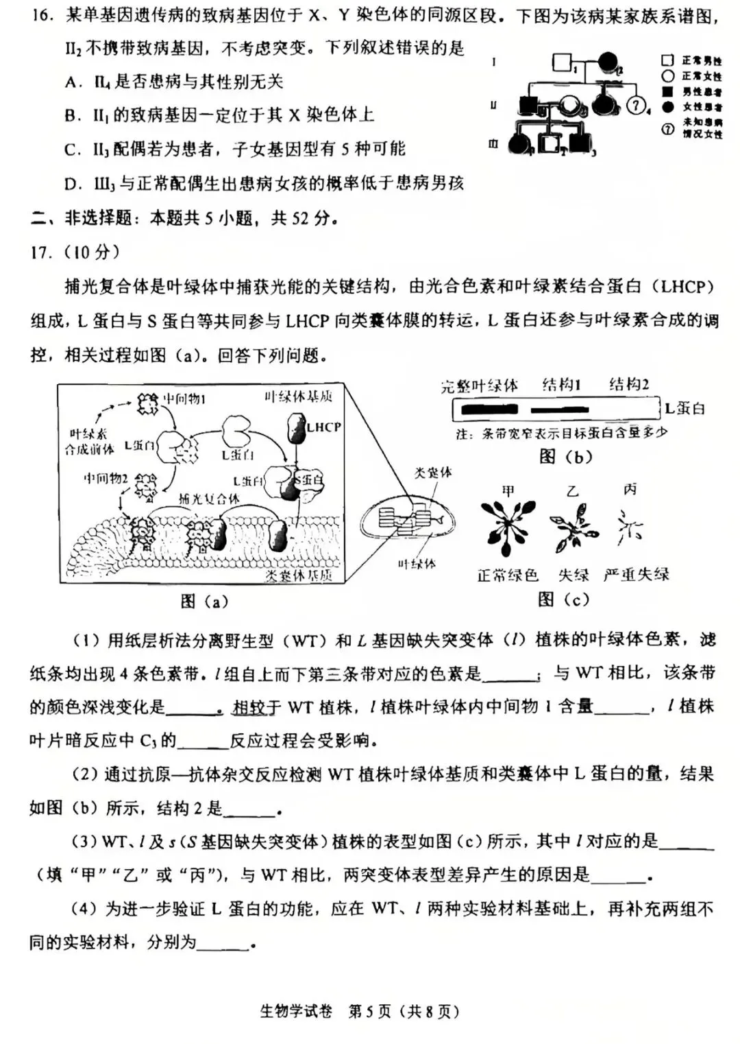 【高考真题】2025高考生物真题(陕晋青宁)-第5张图片-四季读书网