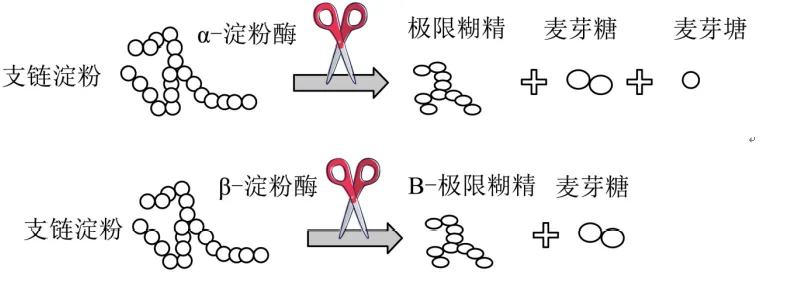 课本上的图,试卷上的题2-第4张图片-四季读书网