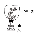 2026年包头昆区生物学模拟考试(一)-第3张图片-四季读书网 2026年包头昆区生物学模拟考试(一)-第3张图片-四季读书网