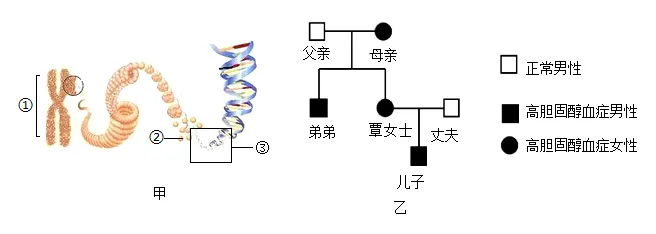 2026年包头昆区生物学模拟考试(一)-第6张图片-四季读书网 2026年包头昆区生物学模拟考试(一)-第6张图片-四季读书网