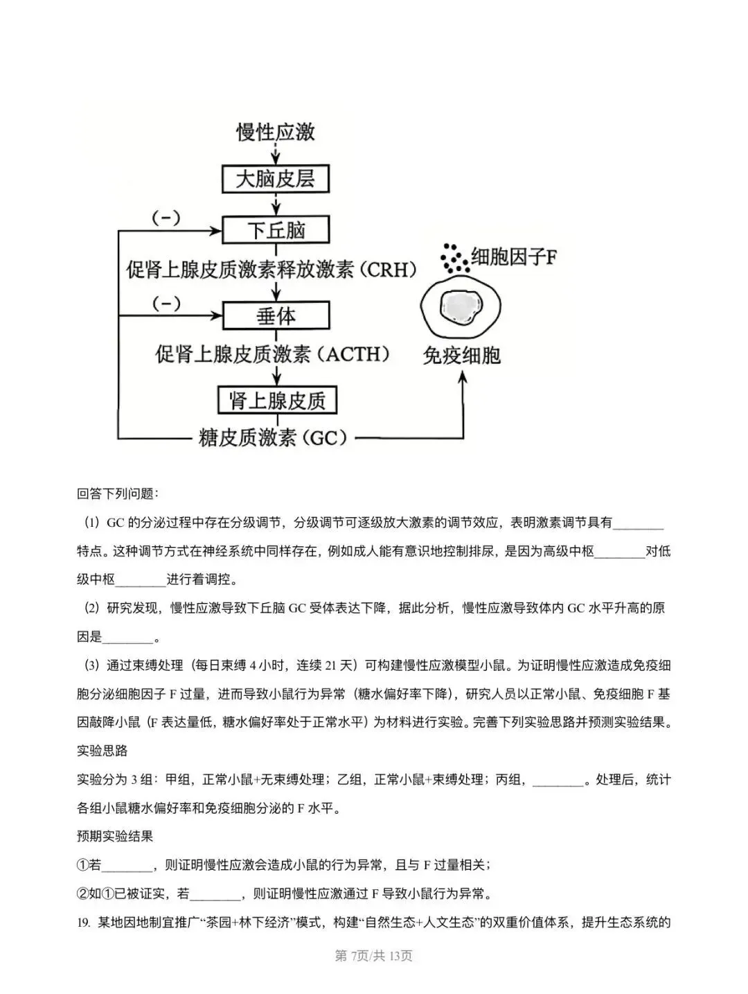 2026河南高考真题-第7张图片-四季读书网