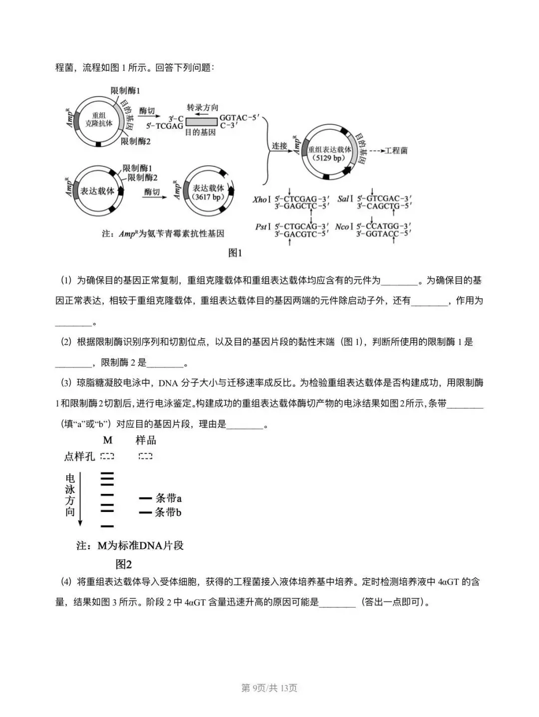 2026河南高考真题-第9张图片-四季读书网
