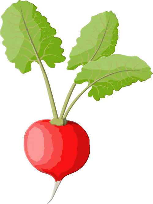 【三阳食谱】中考营养食谱(6月15日至6月20日)-第29张图片-四季读书网