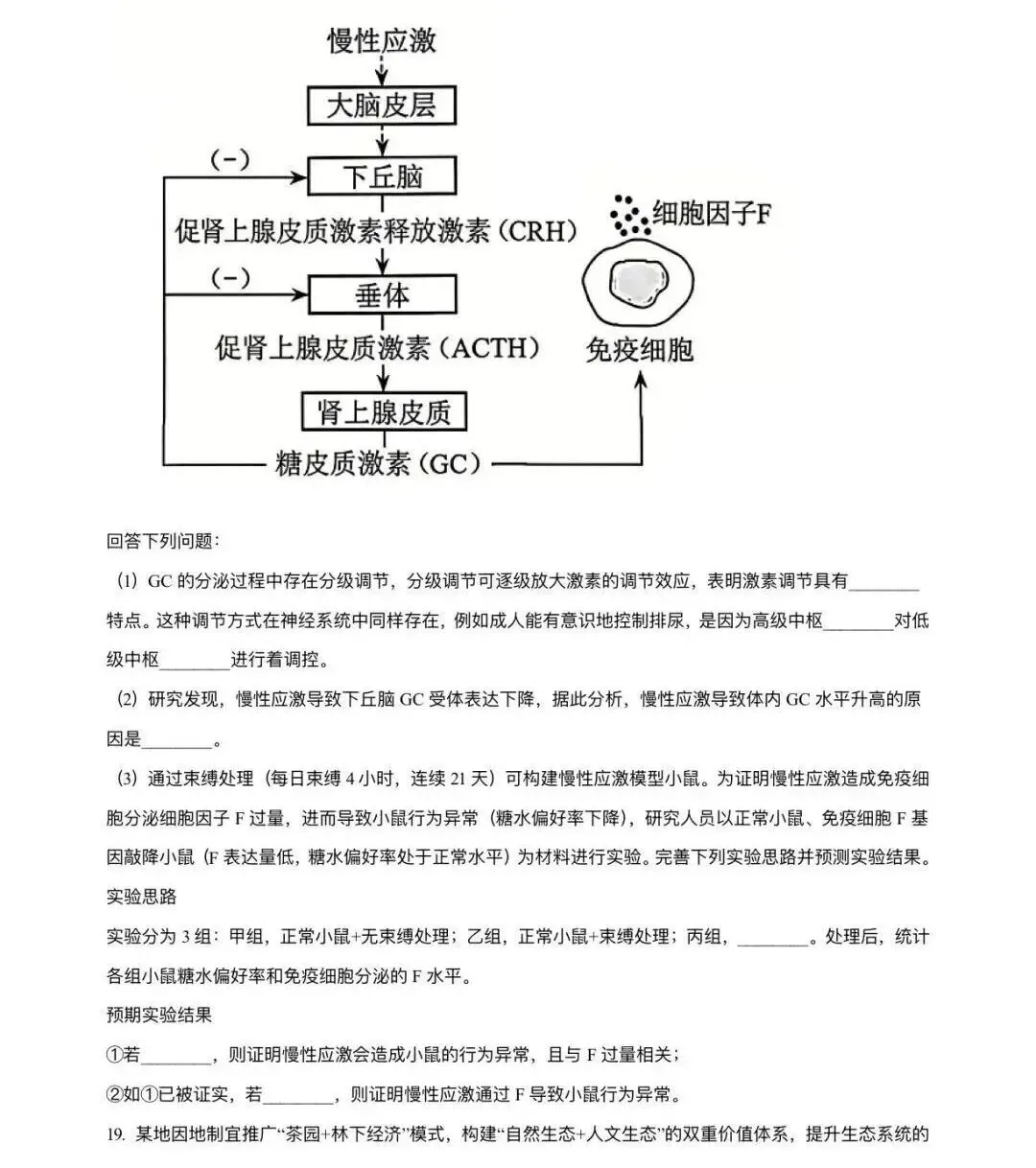 【高考真题】2026年河南高考生物试题(网络收集版本)-第7张图片-四季读书网 【高考真题】2026年河南高考生物试题(网络收集版本)-第7张图片-四季读书网