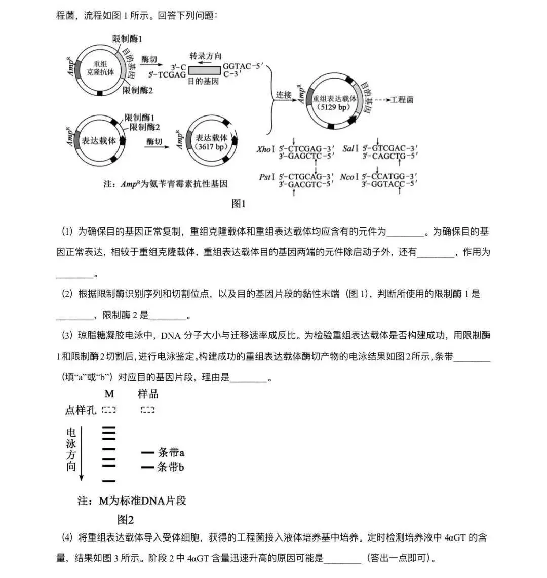 【高考真题】2026年河南高考生物试题(网络收集版本)-第9张图片-四季读书网 【高考真题】2026年河南高考生物试题(网络收集版本)-第9张图片-四季读书网