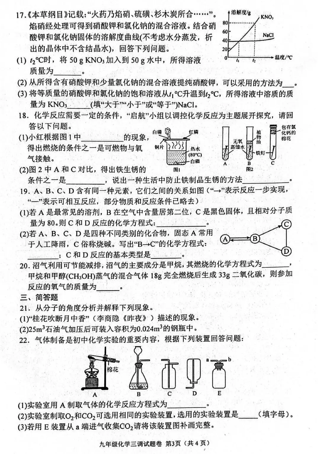 【三模真题】2026年南阳市中招三模(7科全)试题、听力及答案-第54张图片-四季读书网 【三模真题】2026年南阳市中招三模(7科全)试题、听力及答案-第54张图片-四季读书网