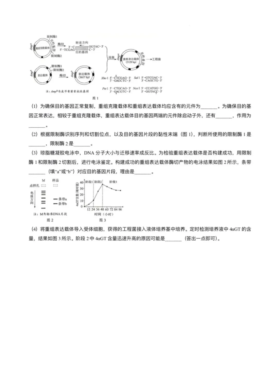 [高考真题]河南省 2026年普通高中学业水平选择性考试生物学-第7张图片-四季读书网