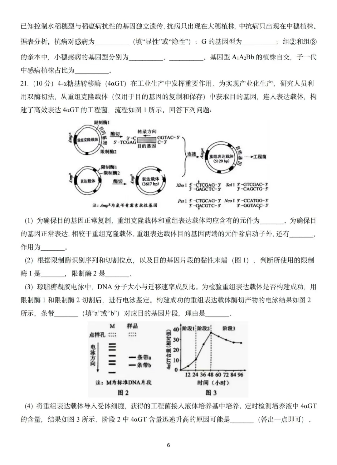 2026河南高考生物真题卷-第6张图片-四季读书网