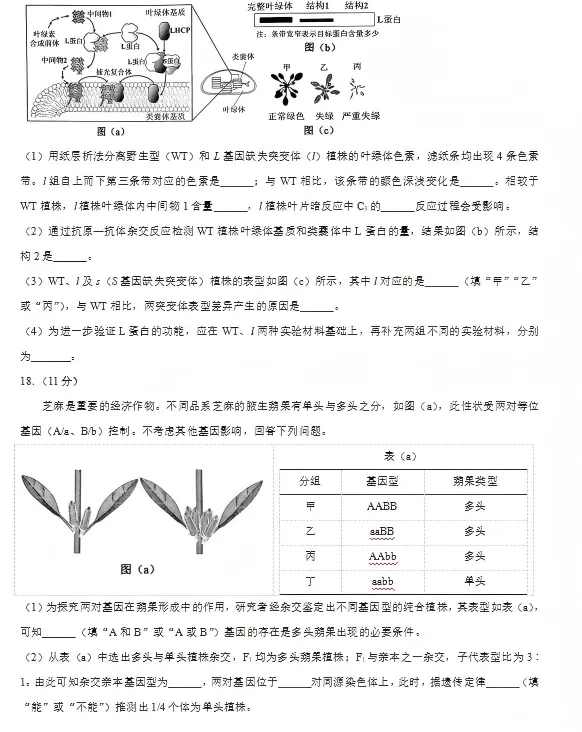 2026陕西高考生物真题及答案-第7张图片-四季读书网 2026陕西高考生物真题及答案-第7张图片-四季读书网