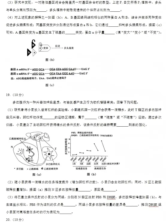 2026陕西高考生物真题及答案-第8张图片-四季读书网 2026陕西高考生物真题及答案-第8张图片-四季读书网