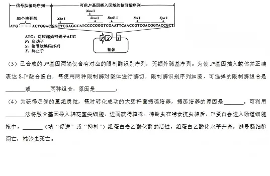 2026陕西高考生物真题及答案-第10张图片-四季读书网 2026陕西高考生物真题及答案-第10张图片-四季读书网