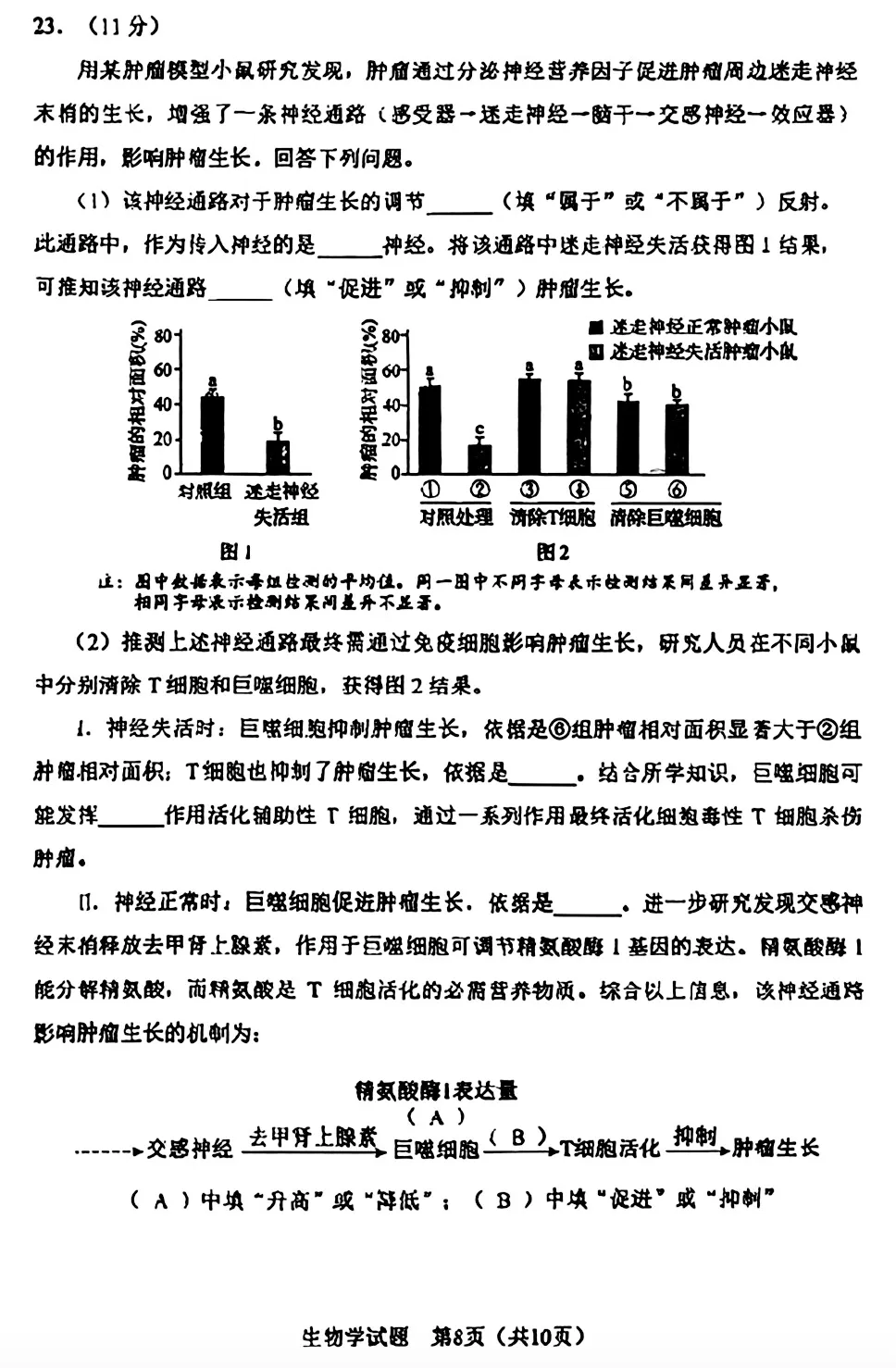 【真题】2026年黑吉辽蒙普通高中学业水平选择性考试生物学试题-第8张图片-四季读书网