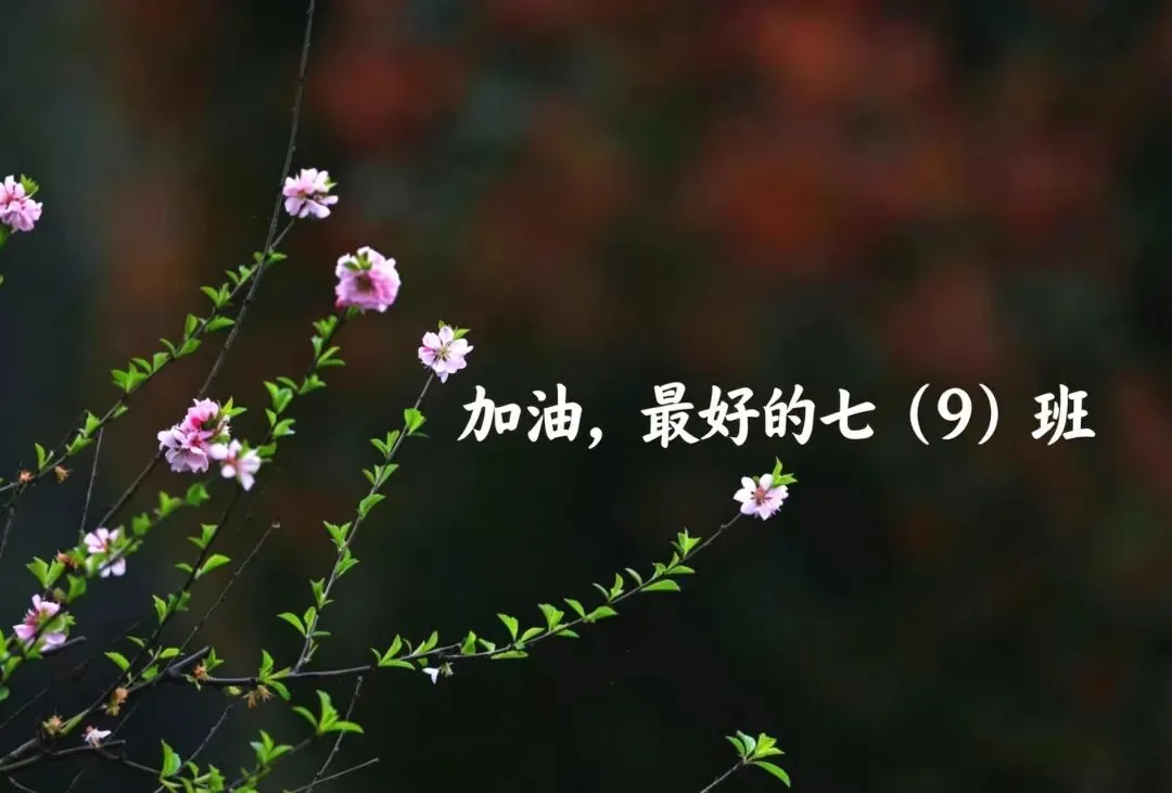中考,离我们远吗?-第3张图片-四季读书网 中考,离我们远吗?-第3张图片-四季读书网