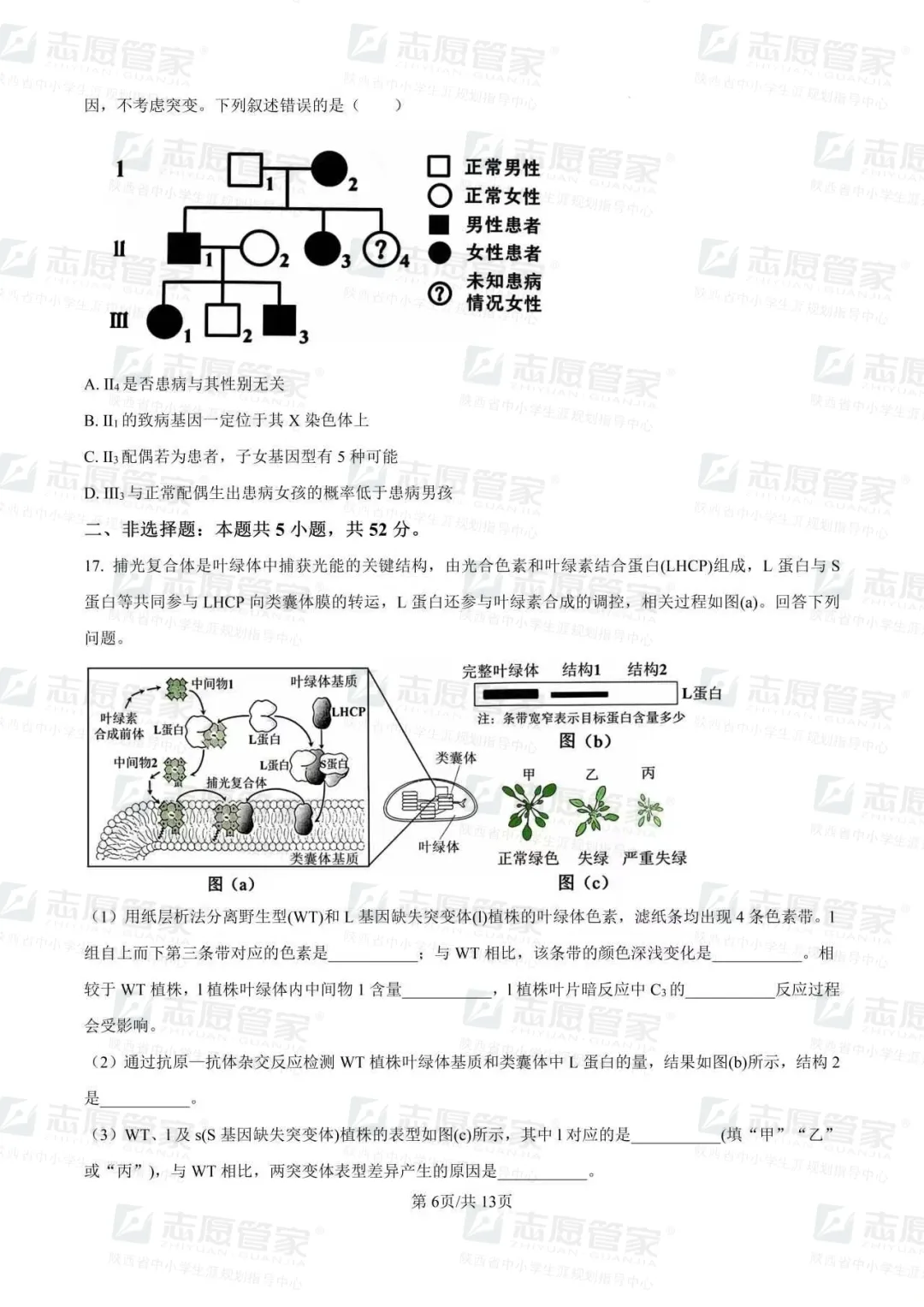 2026全国高考二卷生物试卷+答案【陕西适用】-第10张图片-四季读书网 2026全国高考二卷生物试卷+答案【陕西适用】-第10张图片-四季读书网