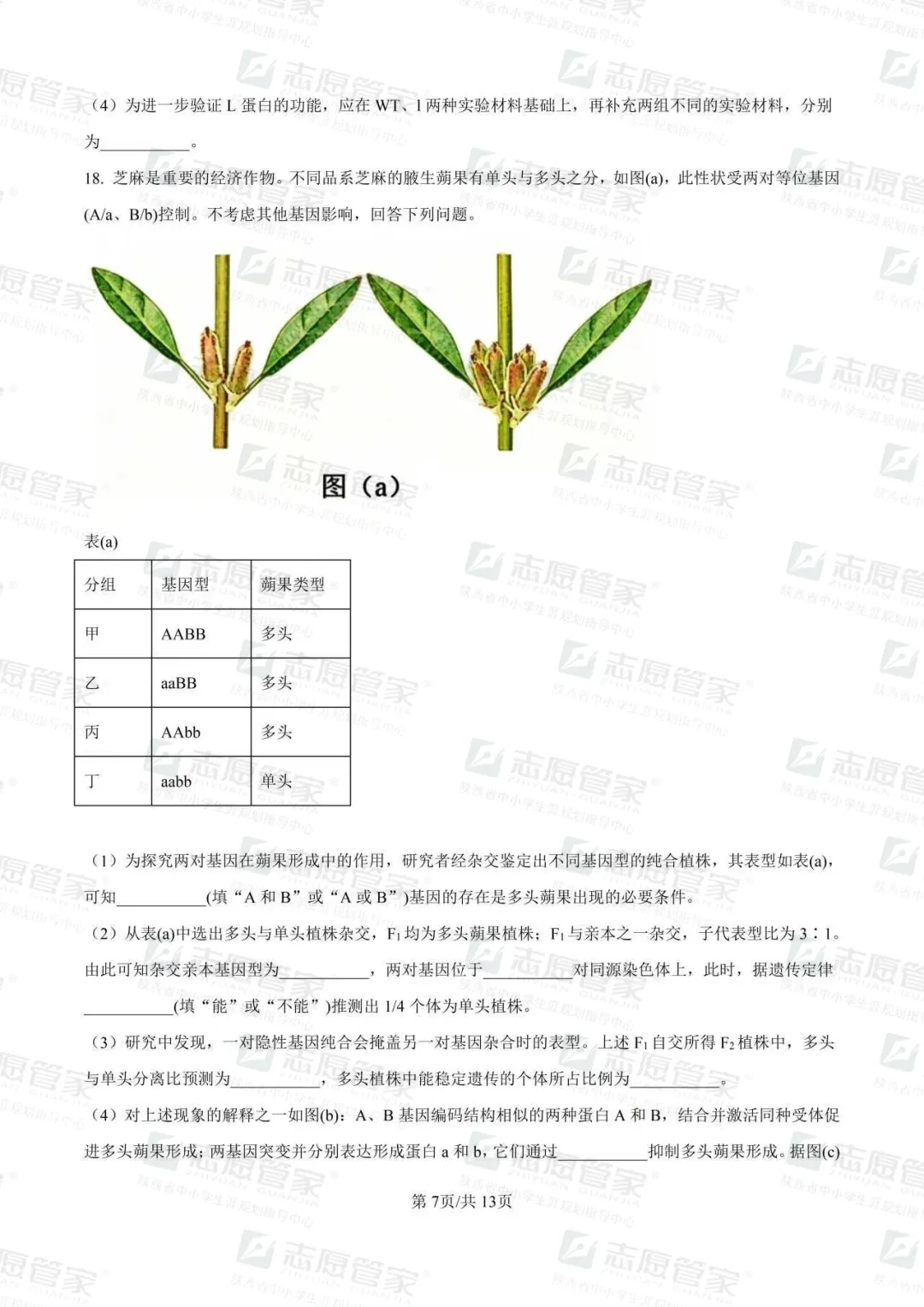 2026全国高考二卷生物试卷+答案【陕西适用】-第11张图片-四季读书网 2026全国高考二卷生物试卷+答案【陕西适用】-第11张图片-四季读书网